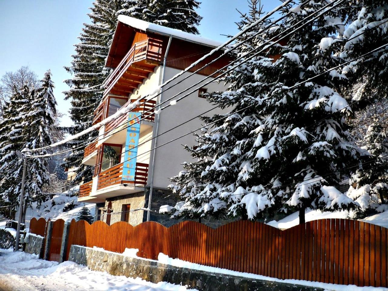 Pension Casa Soarelui シナヤ エクステリア 写真
