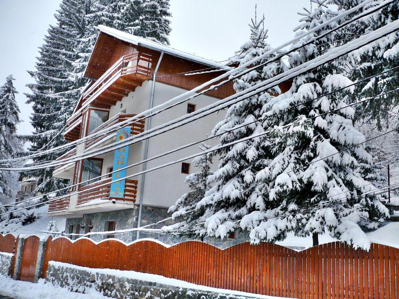 Pension Casa Soarelui シナヤ エクステリア 写真